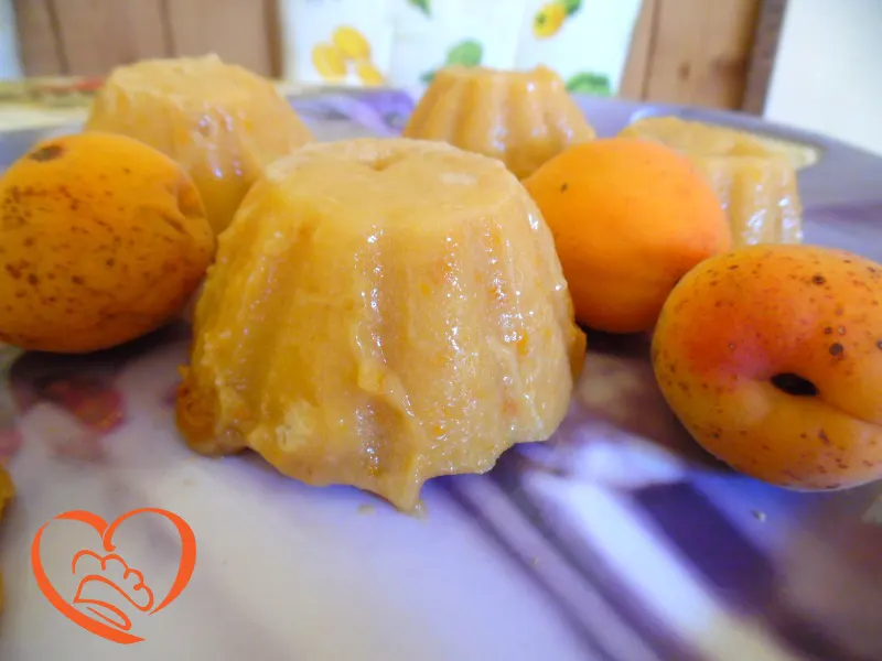 Budino alle albicocche con biscotti
