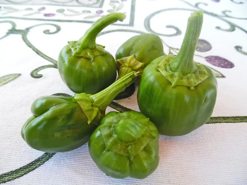 PEPERONCINI VERDI