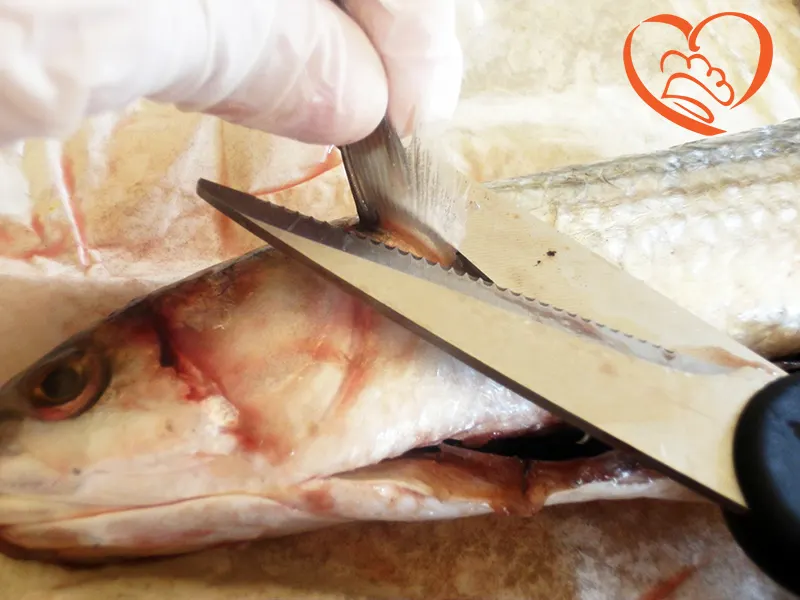 PULIZIA_SFILETTATURA_PESCE_LUNGO_3_.JPG