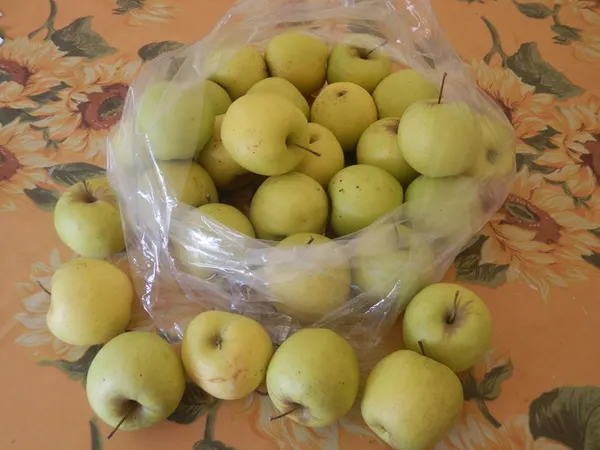 QUINTALI DI MELE