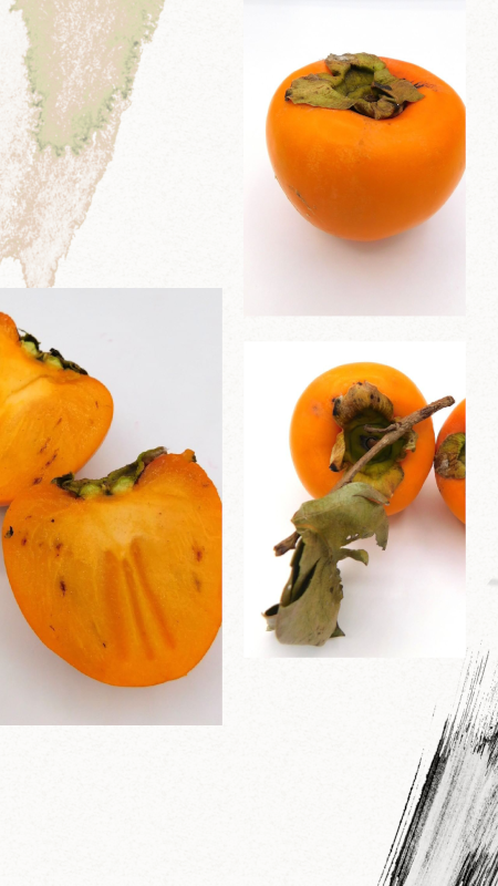 STORIA CACHI FOODFOTO
